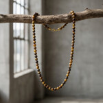 Pánský náhrdelník Fernando Gold - 6 mm tygří oko, chirurgická ocel, Hnědá 50 cm