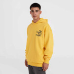 O'Neill Future Surf Society Hoodie 92800613450