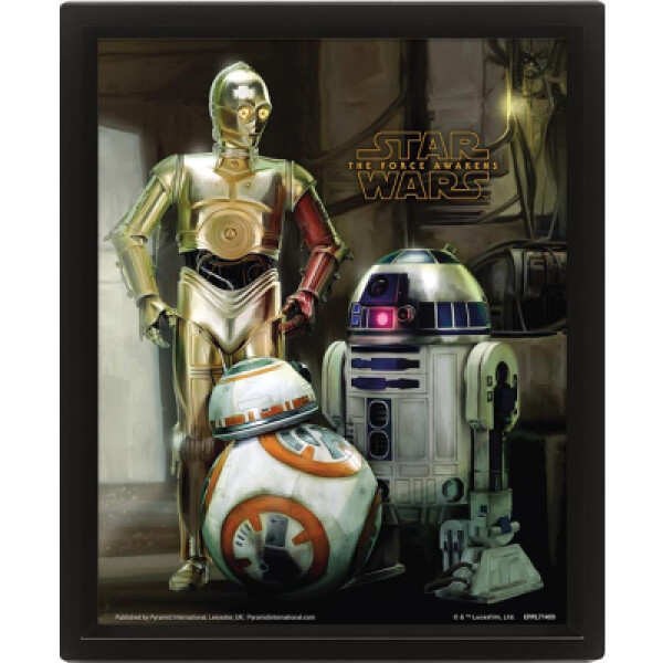 Obraz 3D Star Wars Droids - EPEE