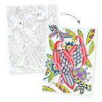 Djeco Djeco, DJ08691, Colouring Gallery, sada antistresových omalovánek, Ptáci