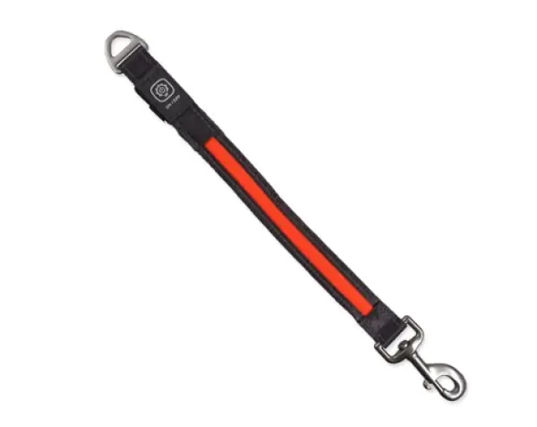 Dog Fantasy Vodítko USB LED nylonový přepínací svítící oranžová 2.5x39 cm (454-12624)