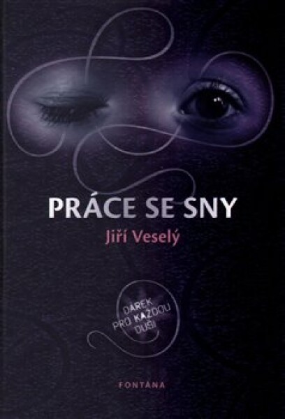 Práce se sny - Dárek pro každou duši - Jiří Veselý