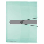 Herlitz Box na spisy cm, mint