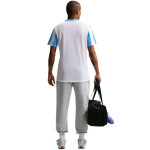 Pánské světle šedé kalhoty Nike Park 26 Fleece IB1248 063 L