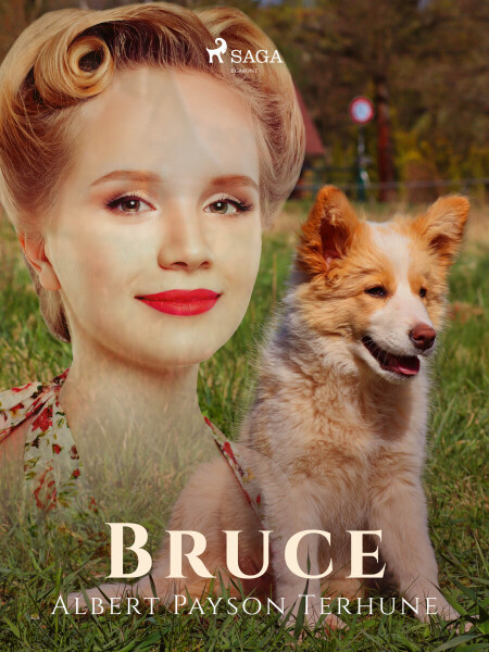 Bruce - Albert Payson Terhune