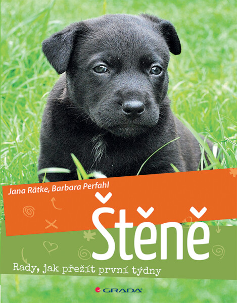 Štěně - Rady, jak přežít první týdny - Barbara Perfahl