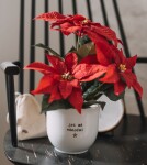 Bella Rose Porcelánový obal na květináč Jsi má vánoční hvězda 13 cm, bílá barva, zlatá barva, porcelán