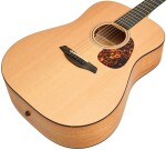 Furch Blue D-CM L.R. Baggs EAS-VTC CNR Active