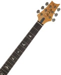 PRS Silver Sky RW Frost