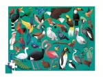 Crocodile Creek Puzzle tubus - 36 Ptáků (100 dílků)
