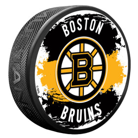 Mustang Puk Boston Bruins NHL Splash