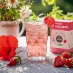 LEROS Bucco Cold brew 20x1,8 g