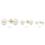 Náušnice s bílou perlou Cinzia Gold - 6 mm, chirurgická ocel, Zlatá Bílá