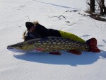 Gaby Polštář Štika monster 200 cm,Gaby Polštář Štika monster 200 cm