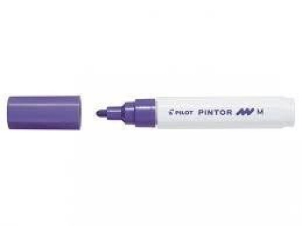 Akrylový popisovač Pilot Pintor, Medium,
