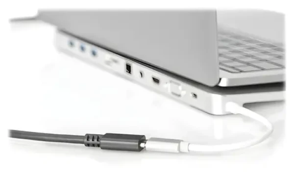 Digitus USB-C / Prodlužovací kabel / USB 3.2 Gen 2 / 0,7 m (AK-300210-007-S)