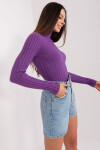 Jumper PM SW 1087.09 tmavě fialová S/M