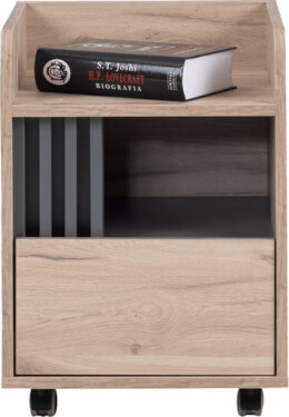 Kontejner se zásuvkou AllMo AL10 Barva korpusu + barva dveří: Dub Estena + Antracit