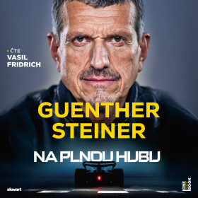Na plnou hubu – Parádní desetiletí ve formuli 1 - Guenther Steiner - audiokniha