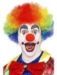 Barevná kudrnatá paruka Crazy Clown 42088