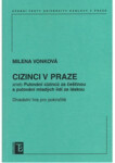Cizinci v Praze aneb Putování cizinců za čestinou a mladých lidí za láskou - Milena Vonková