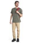 ICEBREAKER Mens Wave SS Tee Stripe, Loden/Lichen/Snow velikost: M