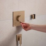 HANSGROHE - Ecostat Comfort E Termostatická baterie pod omítku, pro 2 spotřebiče, kartáčovaný bronz 33711140