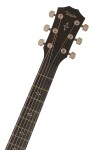 Taylor 414ce-R Tobacco Sunburst Top