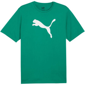 Puma Team Rise Logo Jersey Cotton M 658705 05 pánské m
