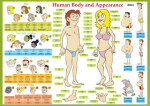 Human Body and Appearance