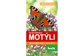 Motýli