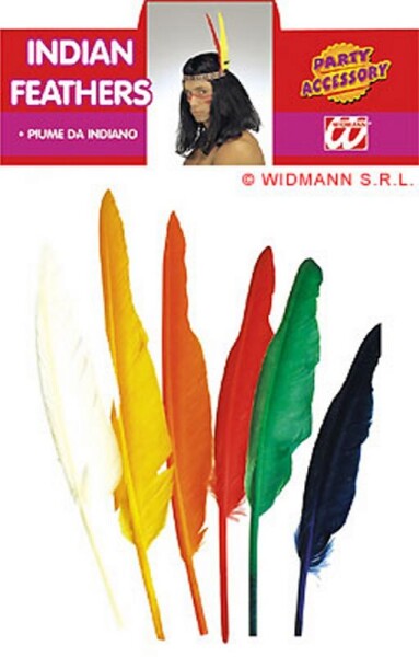 R-Kontakt.cz Indiánská péra barevná - 12ks