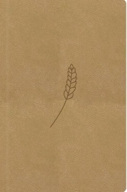 Bible, překlad 21. století (medová) - kapesní