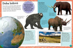 Dinosauři prehistorický život