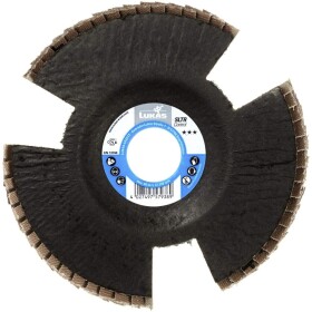 Kotouč lamelový přerušovaný, 115mm, P 60, LUKAS SLTR Control