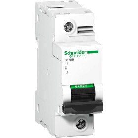 Schneider Electric A9N18492 A9N18492 elektrický jistič 125 A 144 V/DC