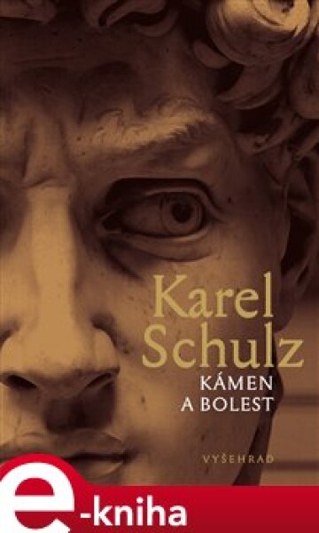 Kámen bolest Karel Schulz