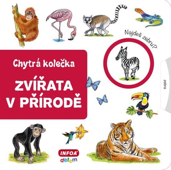 Zvířata přírodě