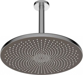 HANSA - Aurelia Hlavová sprcha, průměr 30 cm, broušená ocel 4727030080
