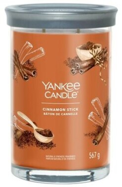 Yankee Candle Cinnamon Stick Tumbler 567g