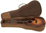 Taylor GS Mini-e Rosewood SB
