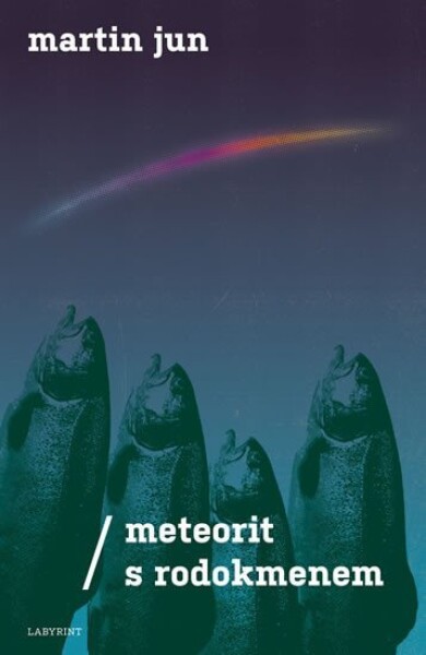 Meteorit rodokmenem Jun Martin