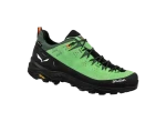 Salewa Alp Trainer Gore-Tex pánské boty Pale Frog/Black vel. (UK