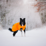 Expedition Parka oranžová, Hurtta Velikost: 30