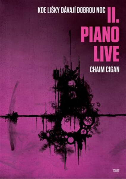 Piano live - Chaim Cigan