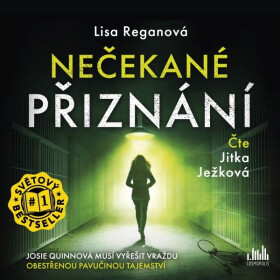 Nečekané přiznání - Lisa Regan