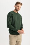 DEFACTO Regular Fit Crew Neck Basic Cotton Sweatshirt