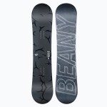 Snowboard Beany DUST