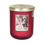 Velká svíčka - Andělské Vánoce - Albi