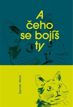 A čeho se bojíš ty - Zbyněk Mrvík